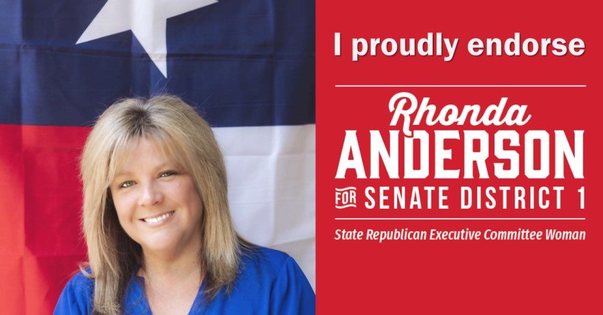 I endorse Rhonda Anderson